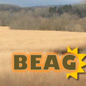Bio-Based Energy Analysis Group