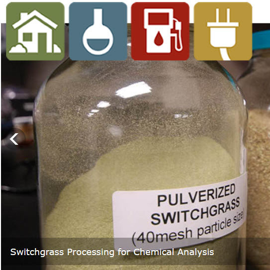 processing switchgrass